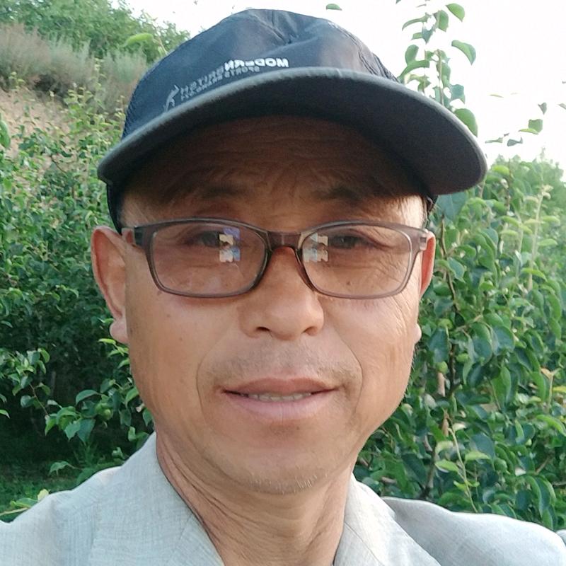 酥梨苹果代收（水果哥）