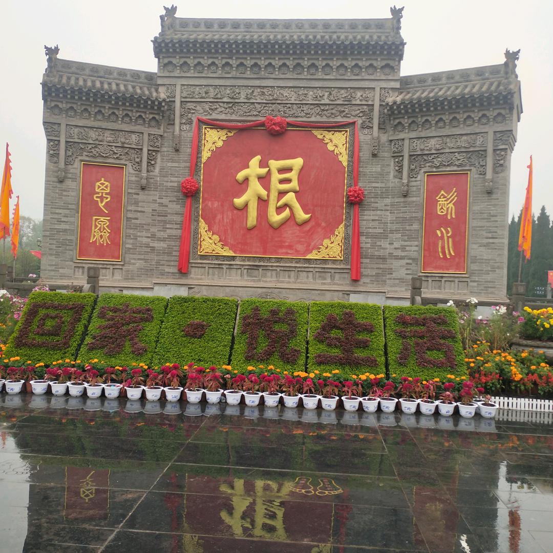 窦