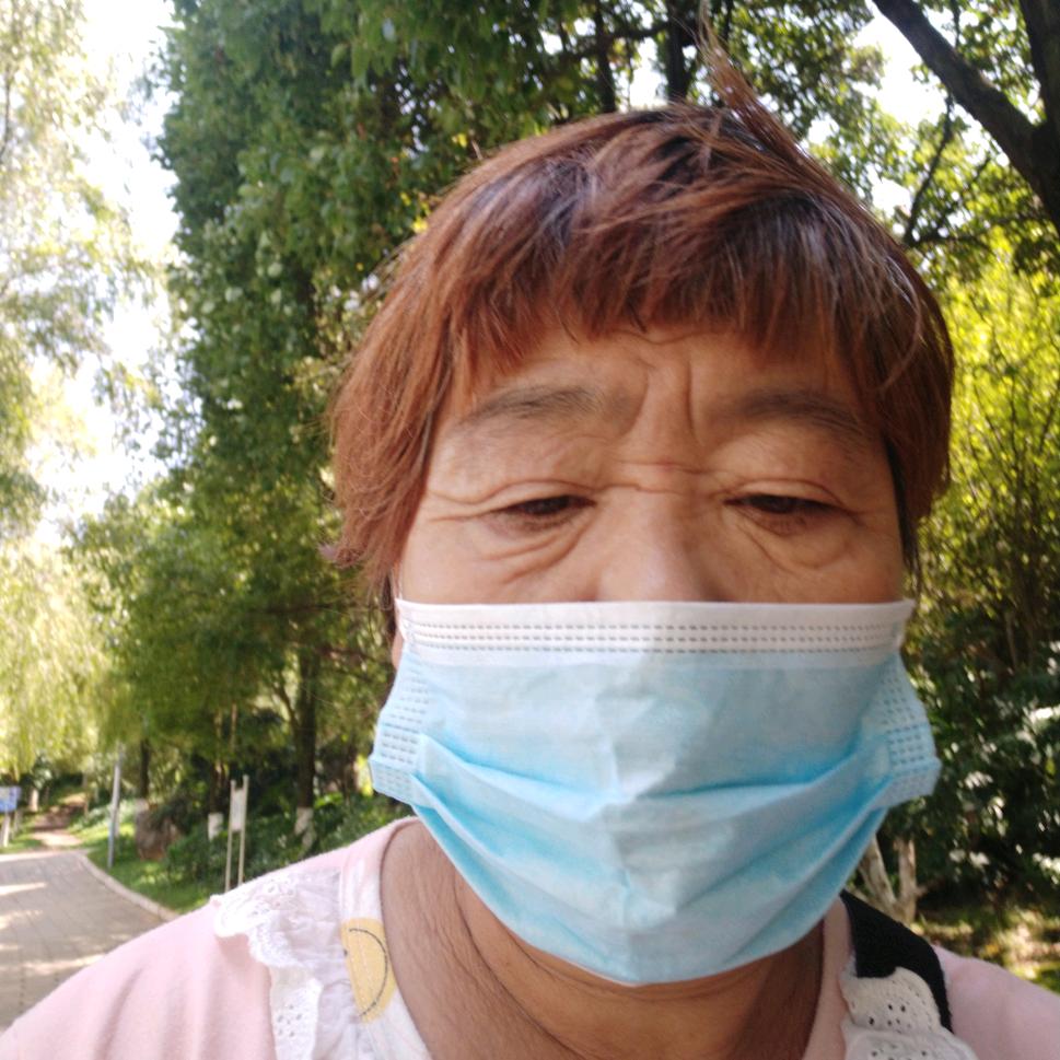 杨花花