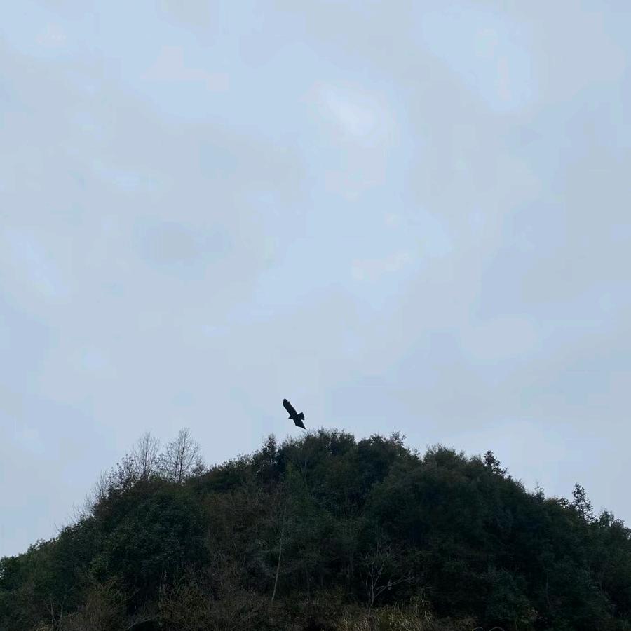 男平
