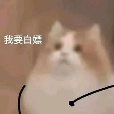 整装待发的小吴