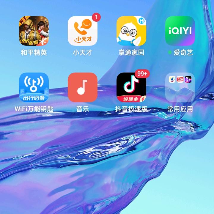 一生而过