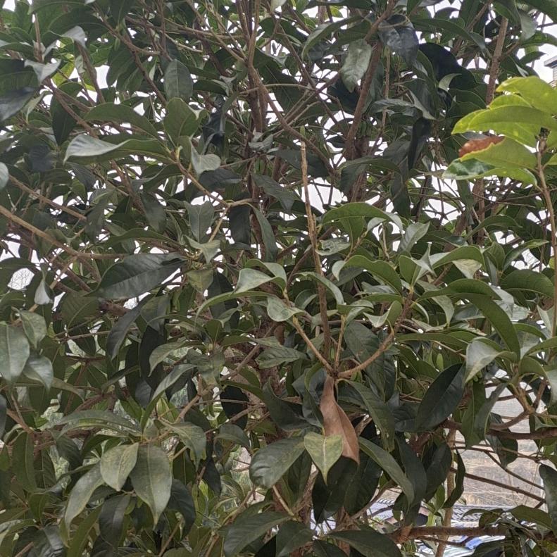 萍水相逢