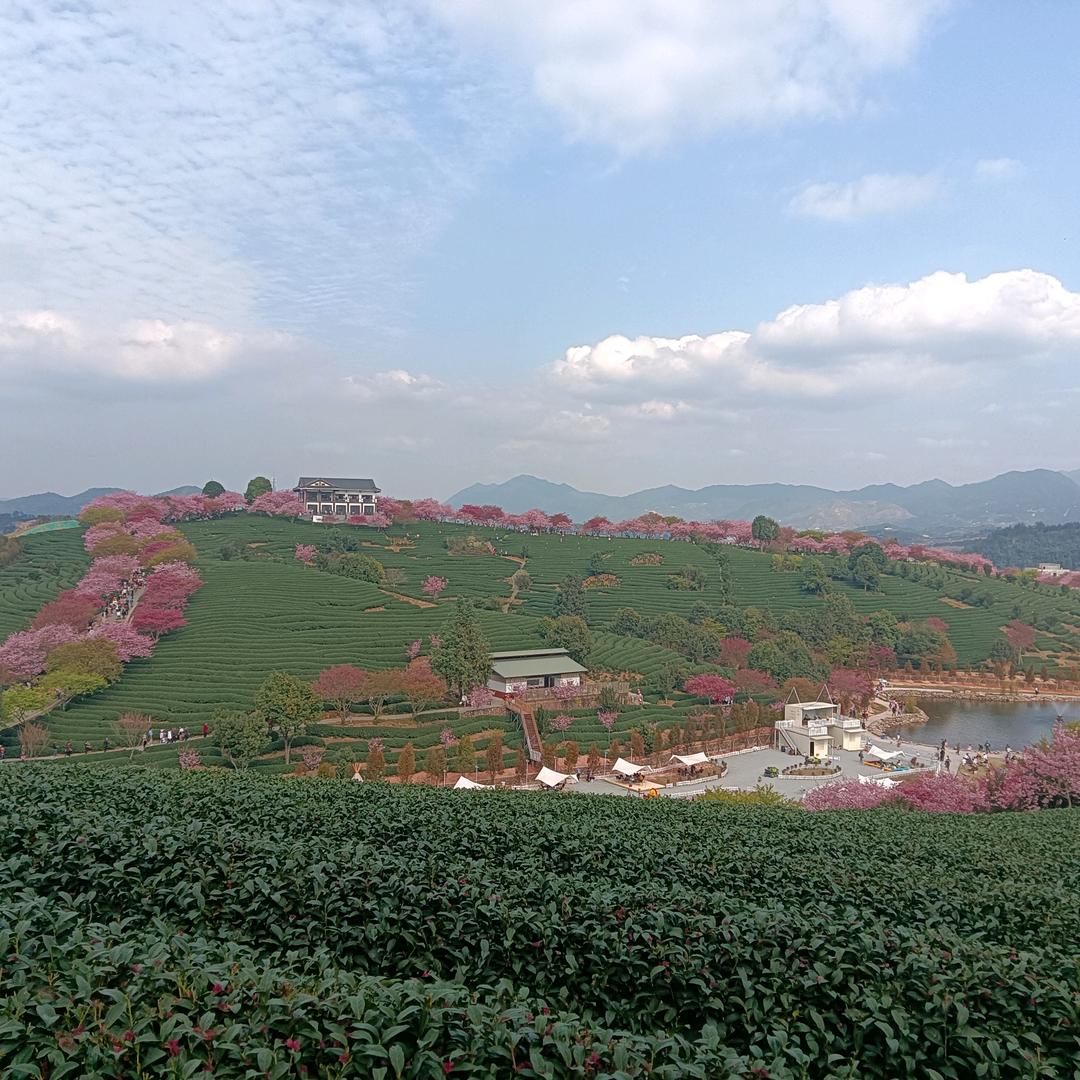 冯传明