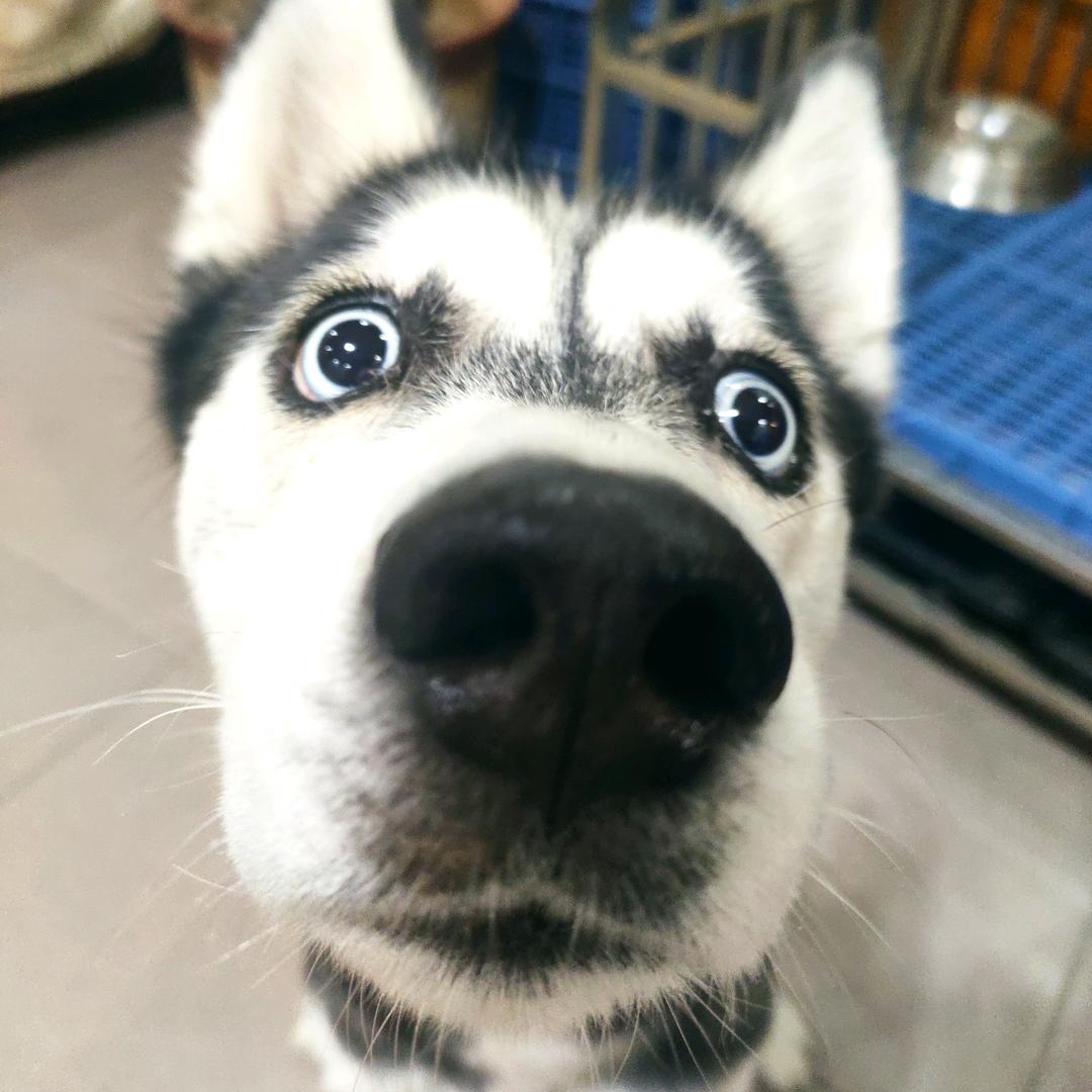 闪电⚡哈