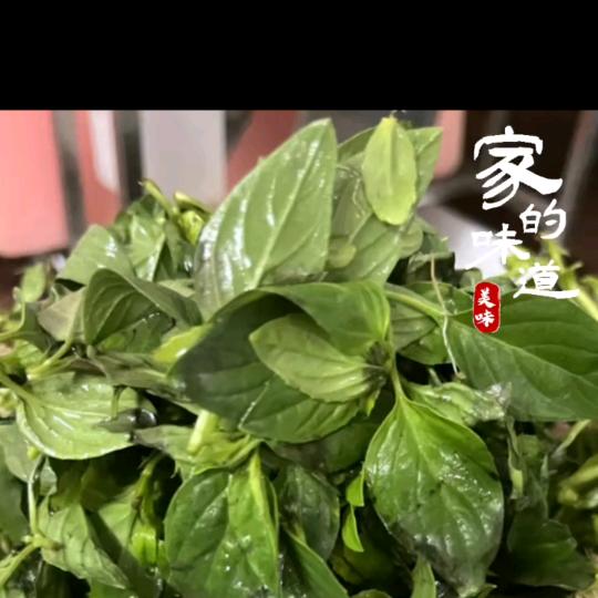 稀客
