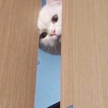 可乐馅汤圆儿