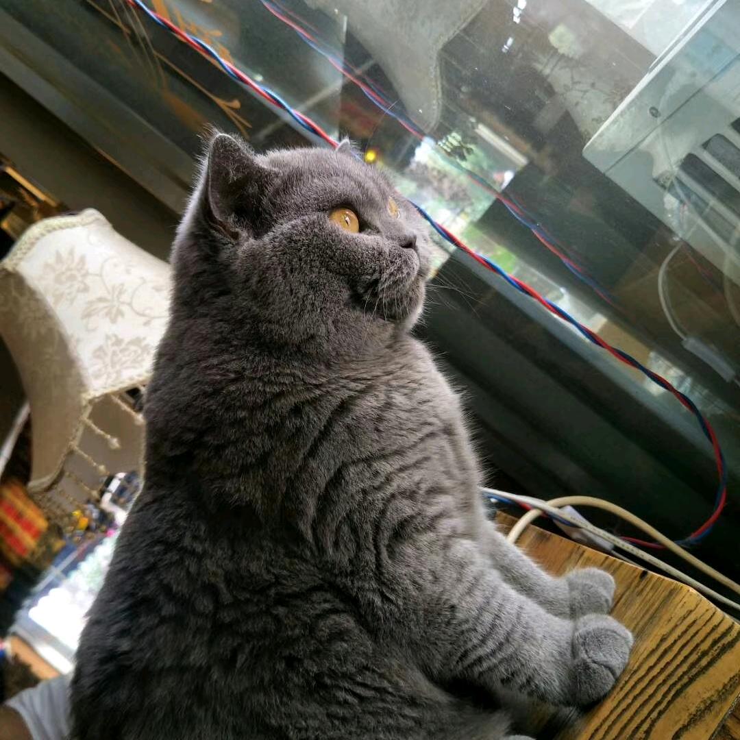 好嗨呦（光谷魅影健身游泳）