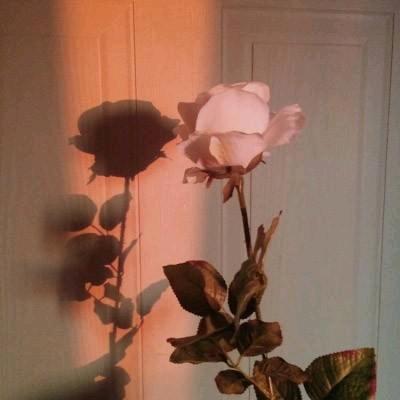 春-