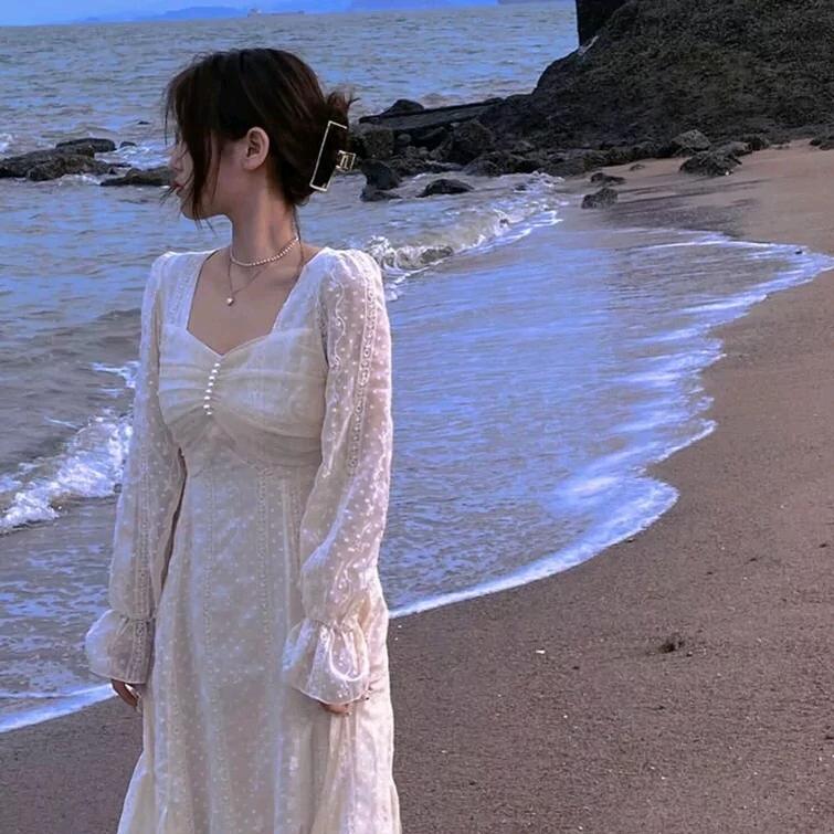 陆家姑娘