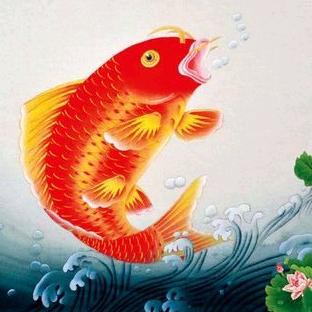 会飞的鱼🐟