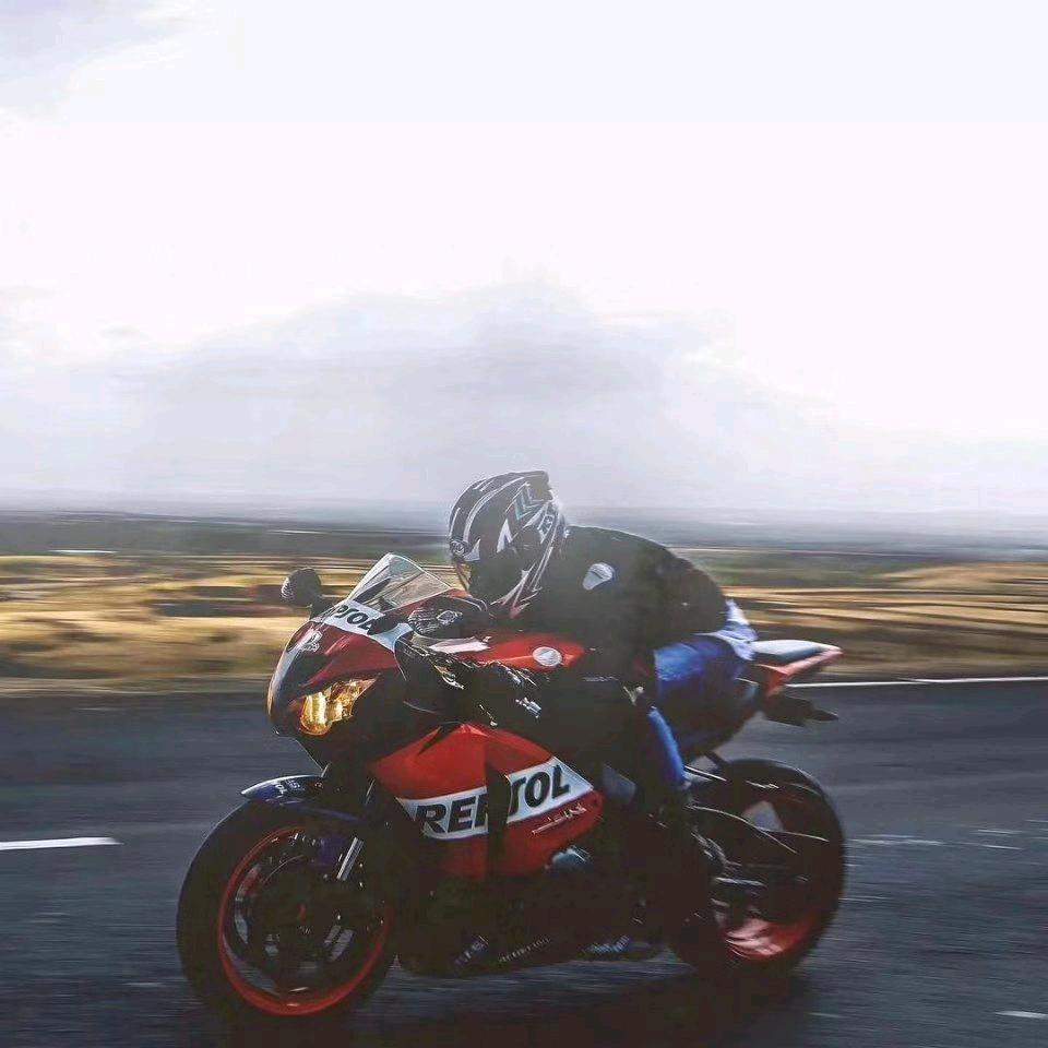 螃蟹