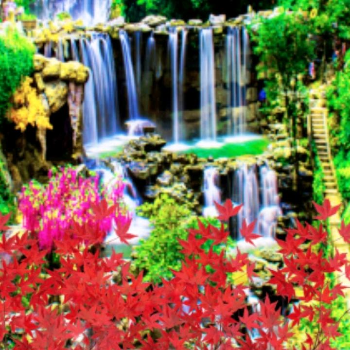 彭友香虋↗沙洲