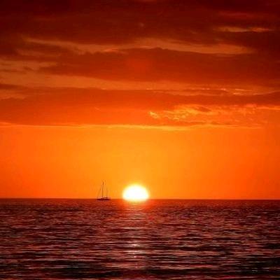 禅茶一味YANGXIAOLING