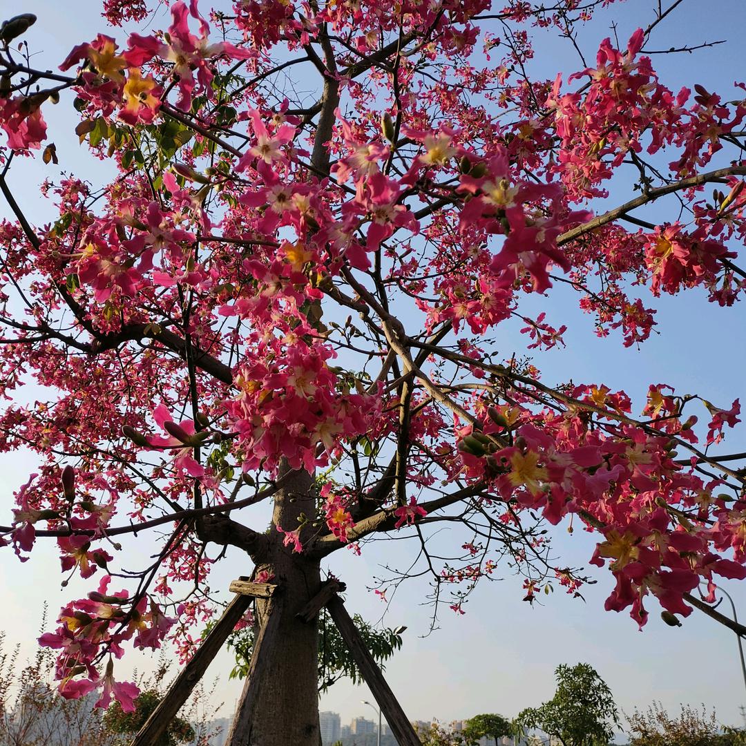 休闲的人《拒绝私聊》