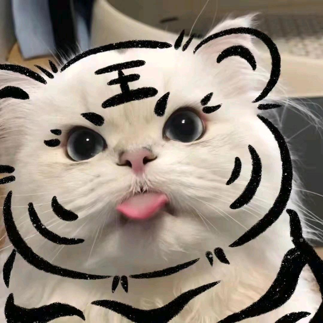 马先生爱钓鱼