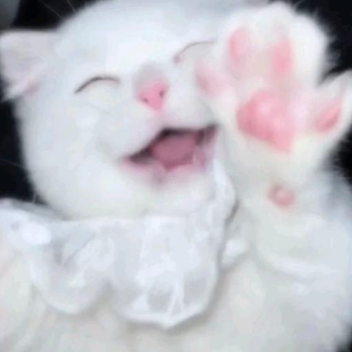 魚ʸᵘ