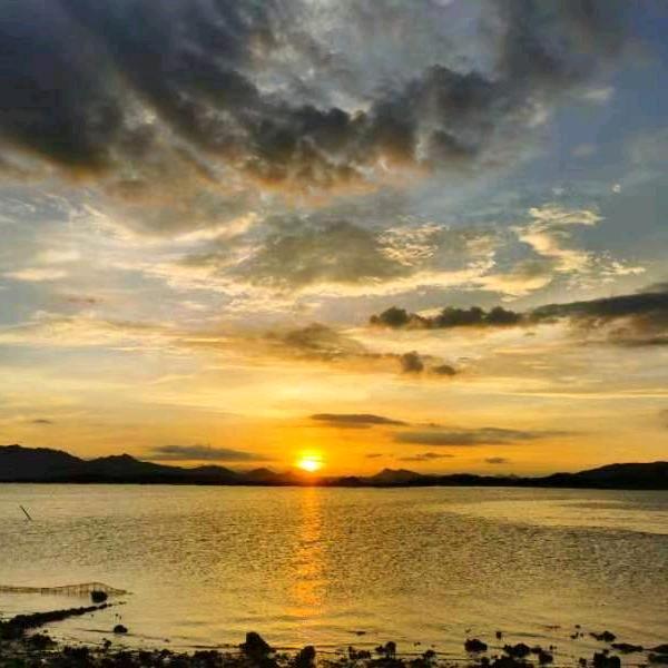 霞姐姐“拒绝私聊”