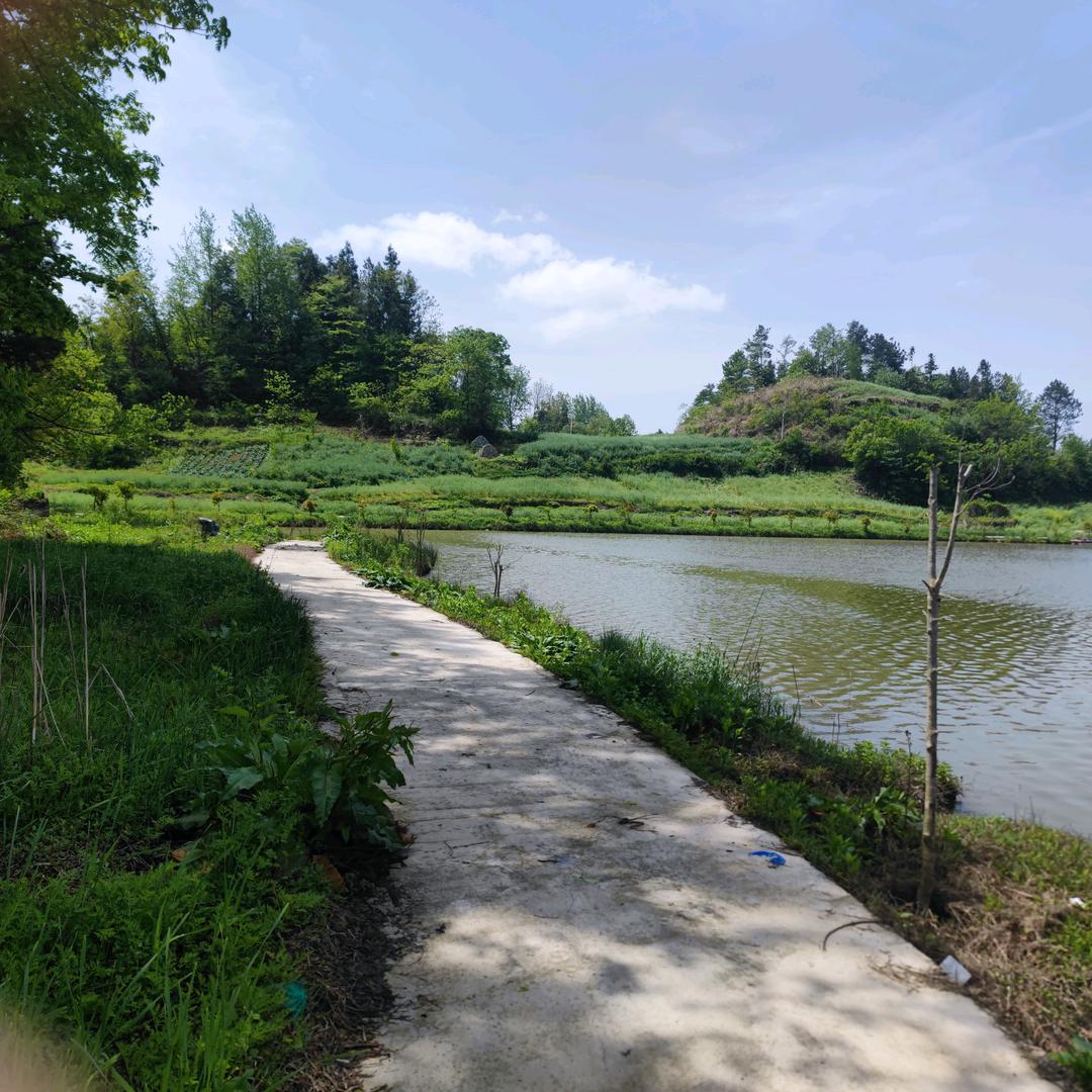 可可的妈沫↗↘