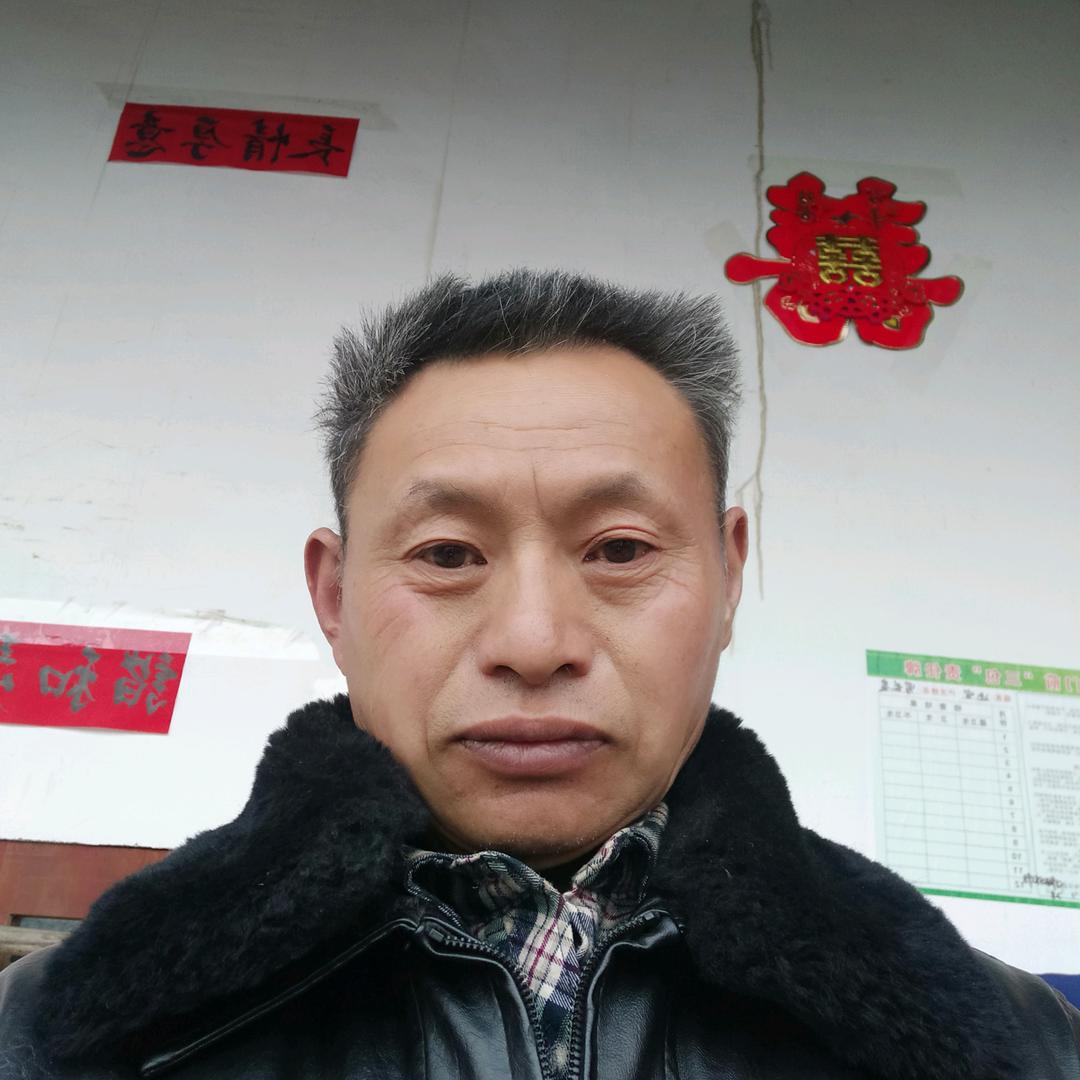 一生爱您姓羅