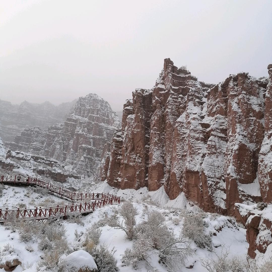 手机用户59366261543