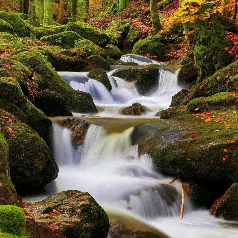 日立空调钻石店