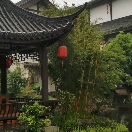 非常哥