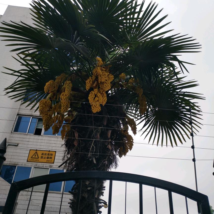 明媚天空