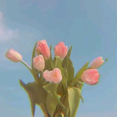 Ai丫