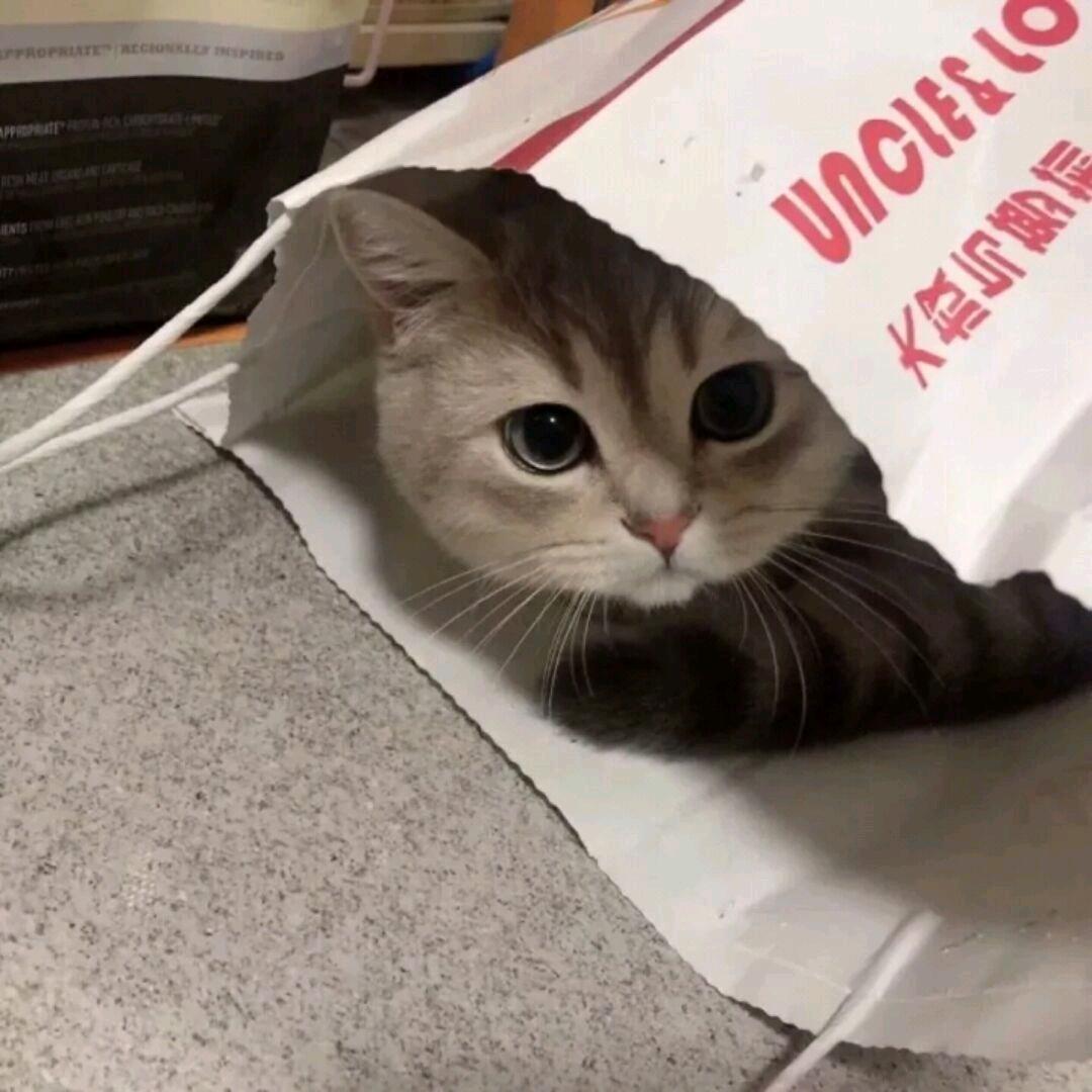 R.