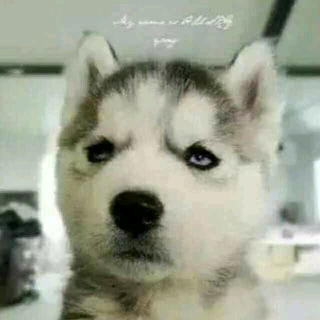 咖啡