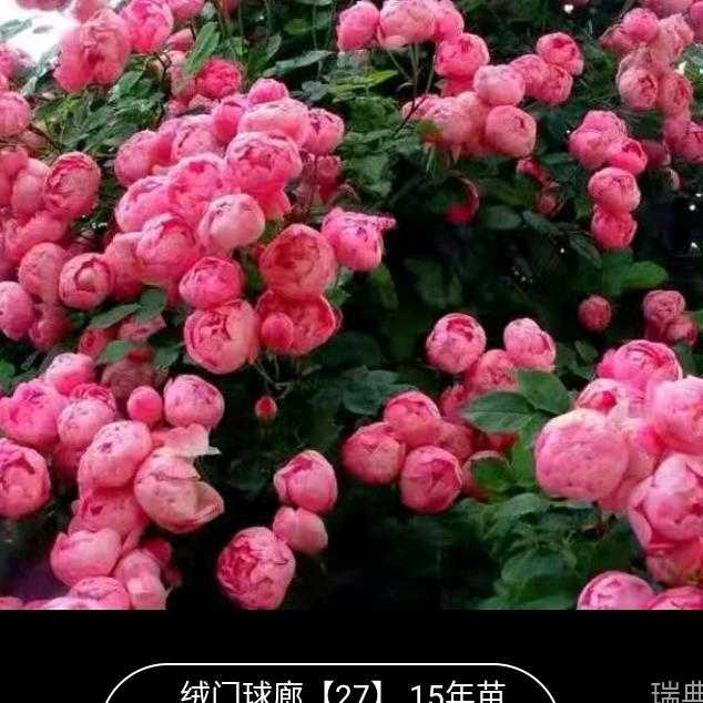 自己要努力