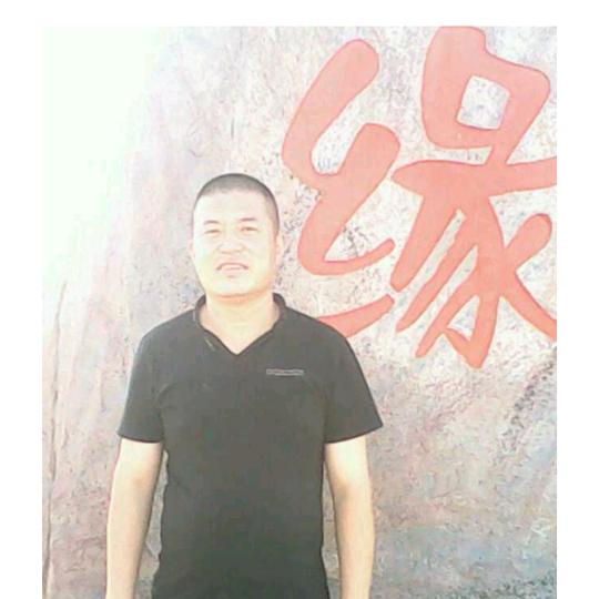 东北力哥