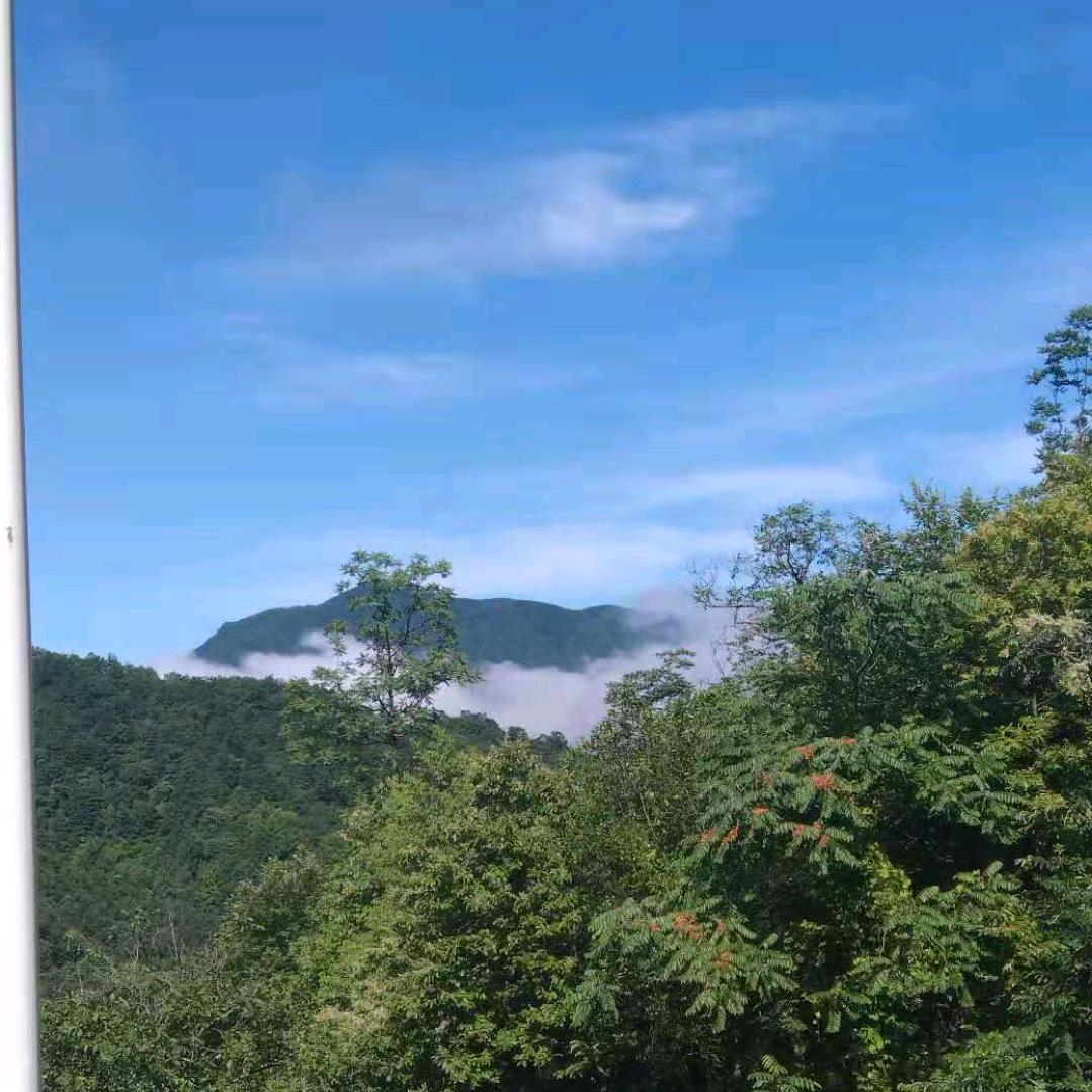 布衣_222738671