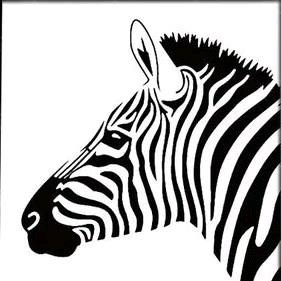 斑马网约车招募合伙人