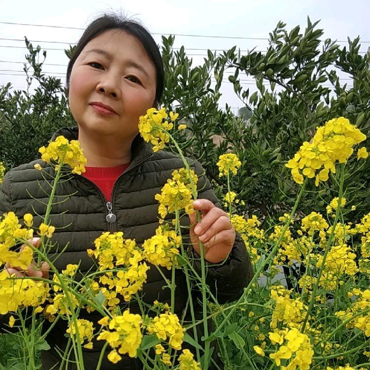 花好月圆