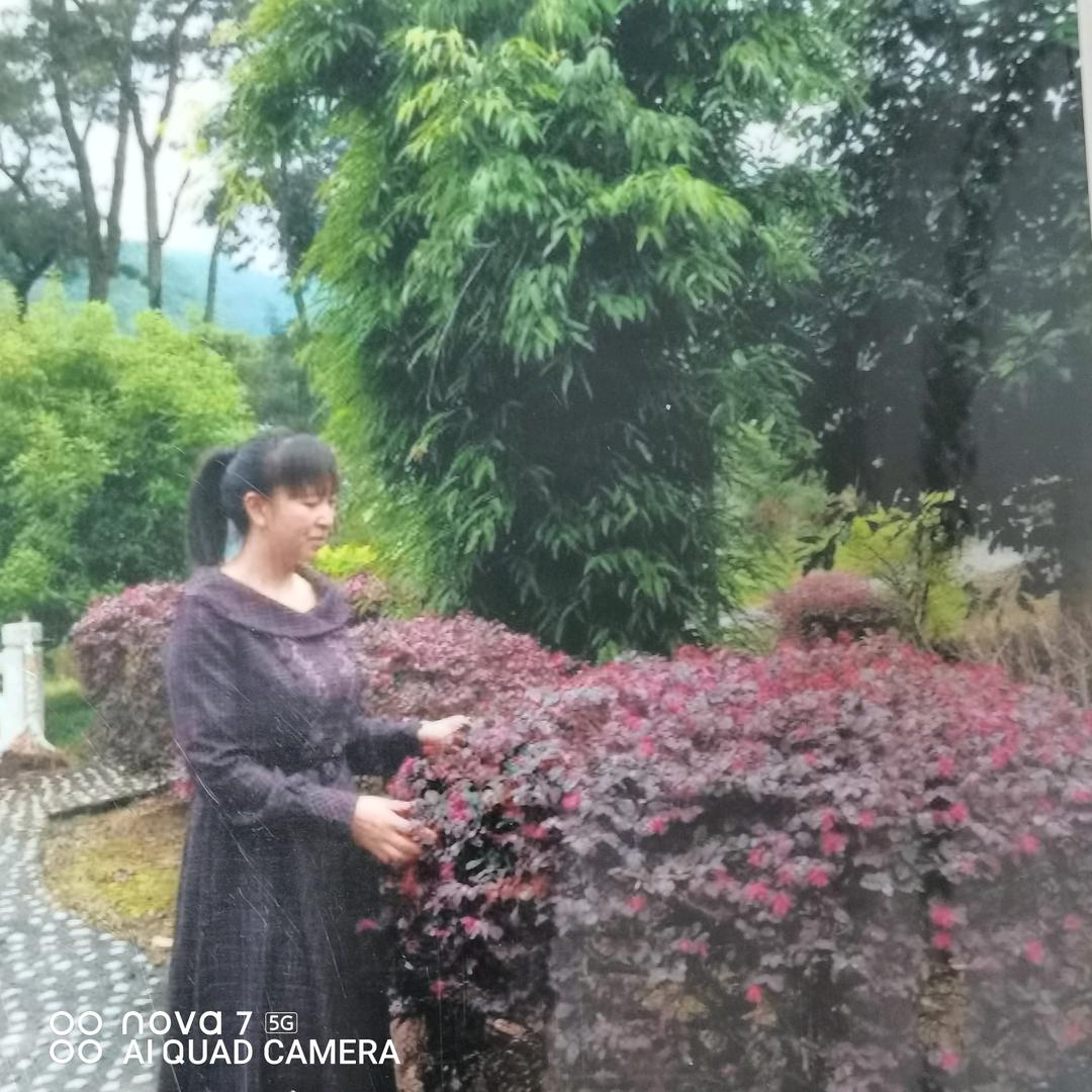 雨