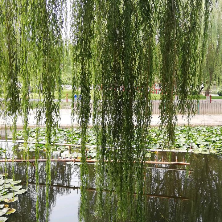 风暴