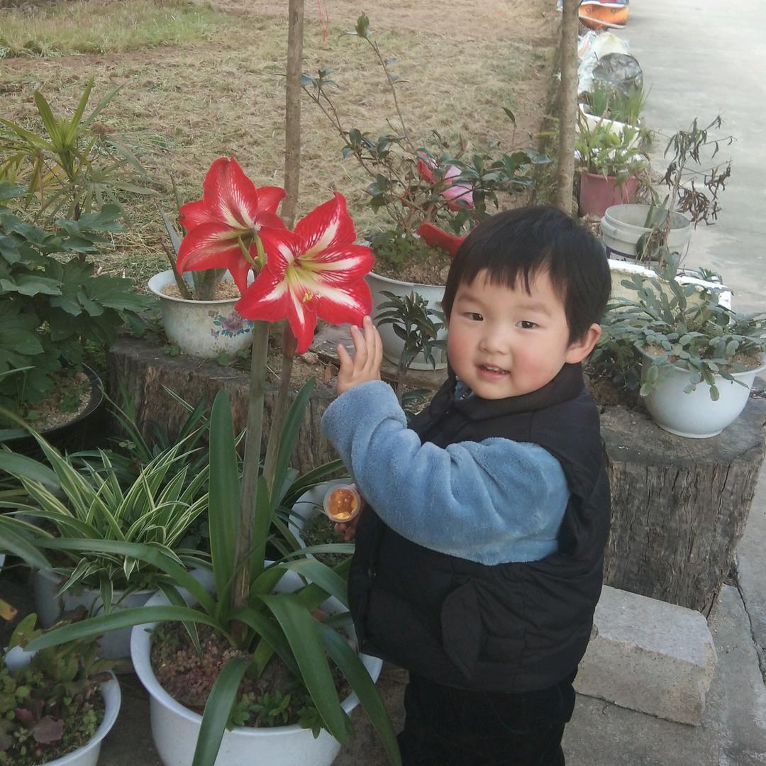 臭宝丫头是我们的宝