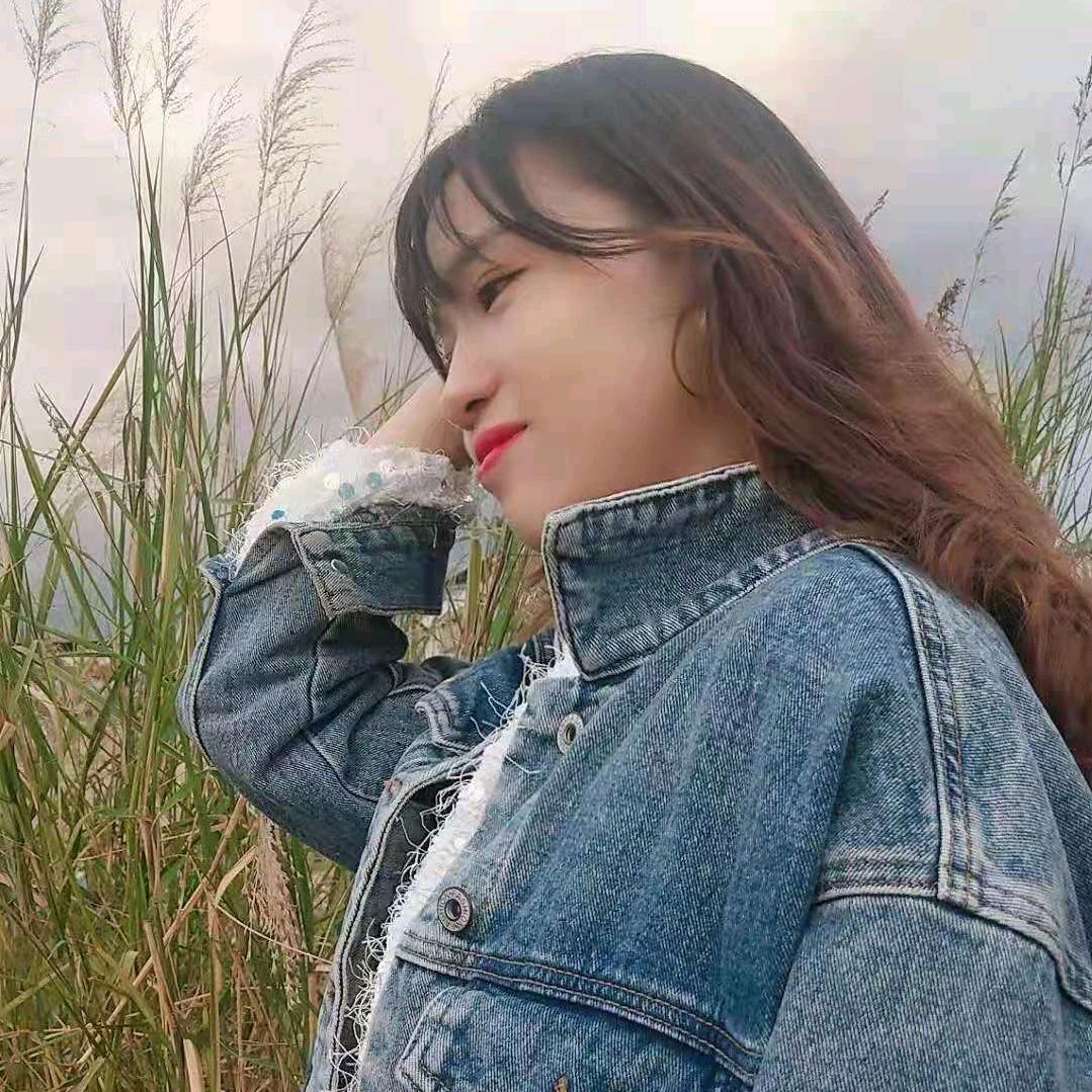 风之乐🍃