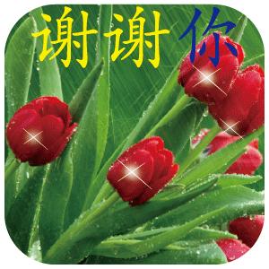 枝叶