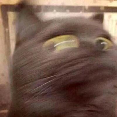 金安_W