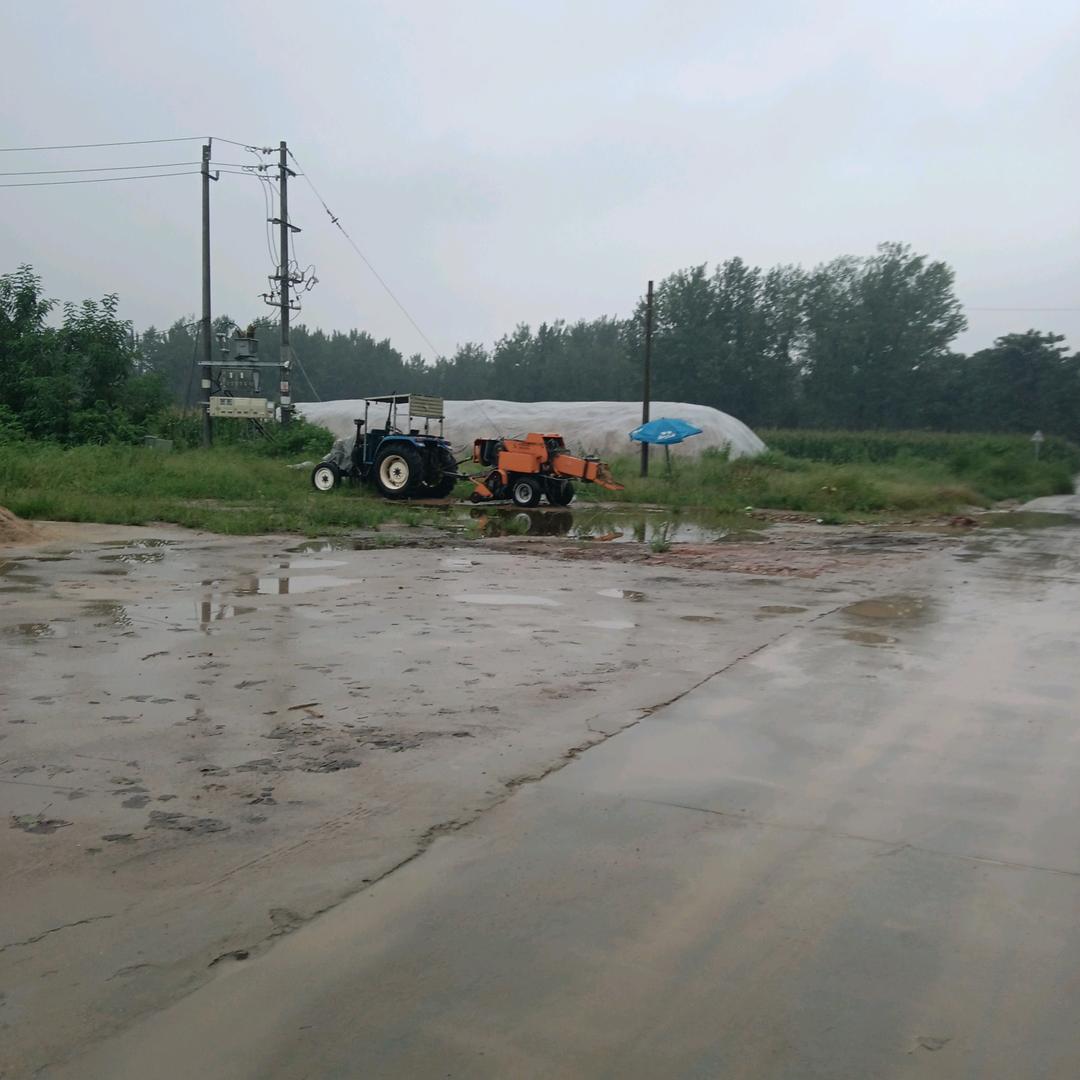 关公之缘，专业出售麦秸秆