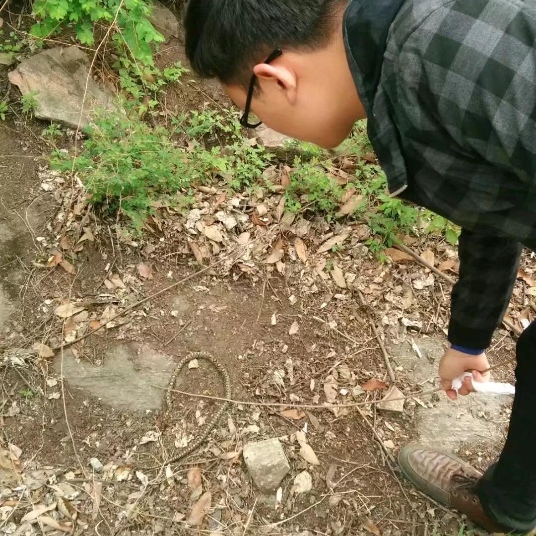 贪吃的金鱼（水果猎手）