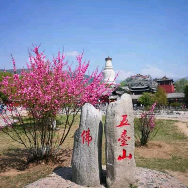 五台山祈福