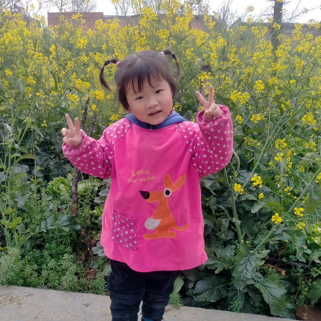 💞️✨️人生💖️如梦✨️💞️