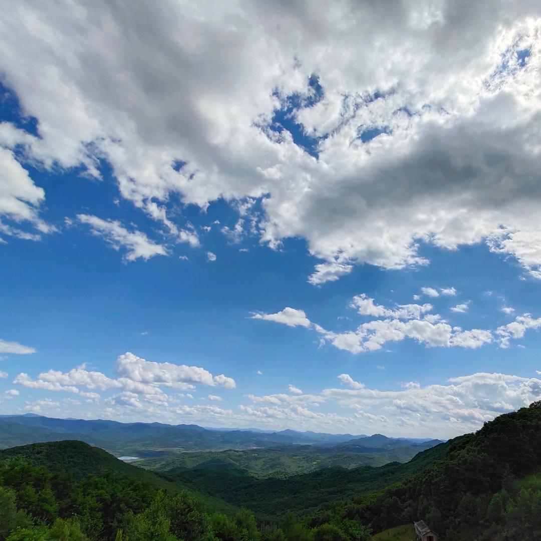 盛世美颜贾队长