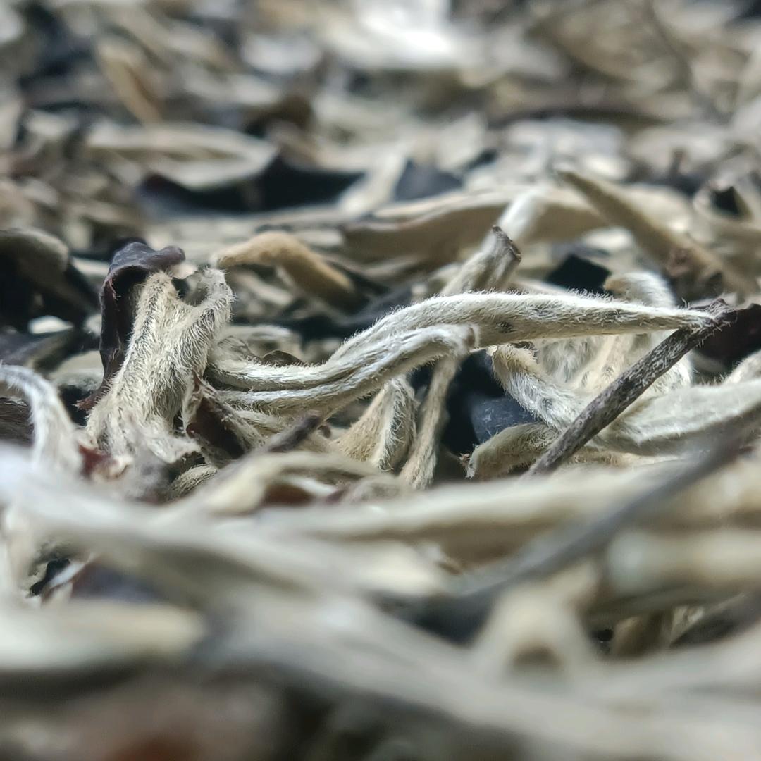 想喝茶