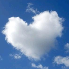 陆小宝崇明大米店