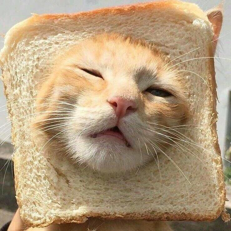 吴猹
